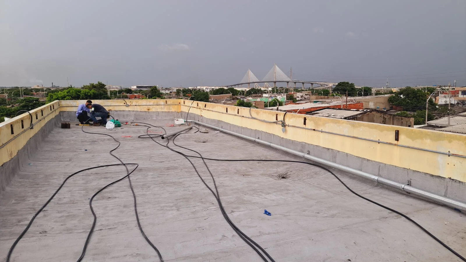 Lee más sobre el artículo Horming – MiRed IPS Barranquilla